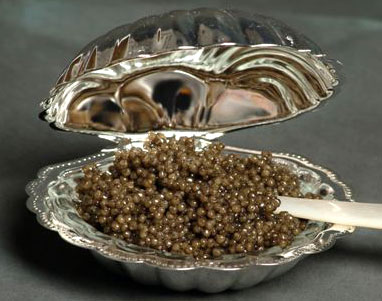 caviar_shell